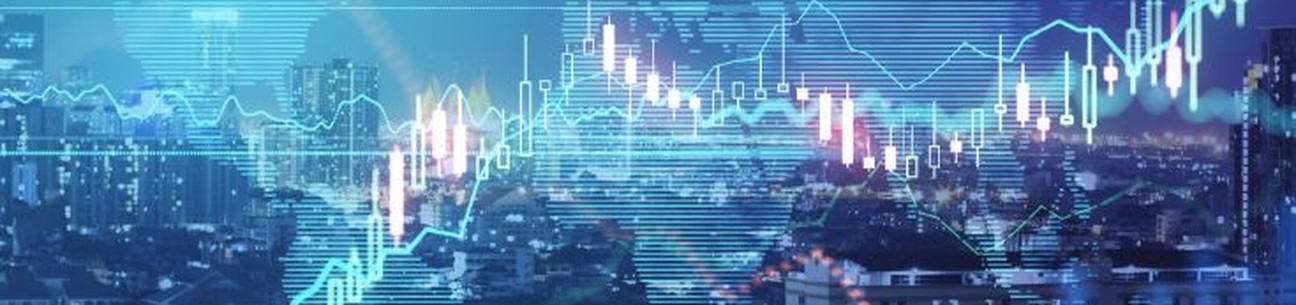 Achmea IM Fondsen Staatsobligaties LDI overlay duration matching fund